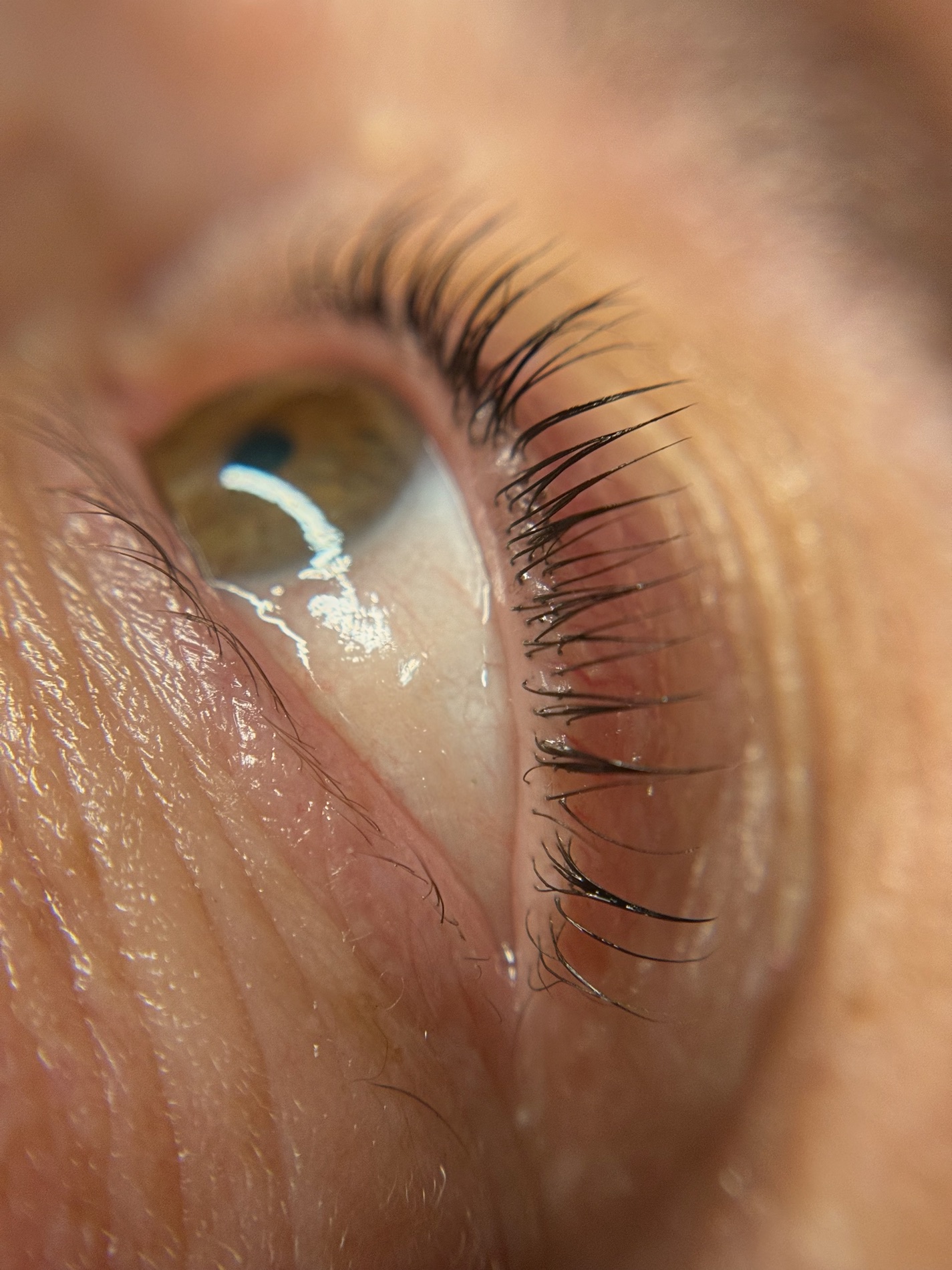 Dark, defined natural lashes after a Lash Tint